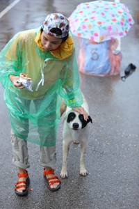 BIB: 
                            <button type="button" onclick="openModal(5745849)" class="btn btn-primary btn-sm float-right btn-popup" data-toggle="modal" data-target=".modal-high-quality">
                        <i class="fas fa-shopping-cart"></i> Add to Cart
                    </button>
                                            <button type="button" onclick="isThisMe(5745849, true)" class="btn btn-success btn-sm float-right btn-popup btn-isme hidden" data-toggle="tooltip" data-placement="bottom" title="นี่คือรูปของคุณใช่ไหม คลิกที่นี่เพื่อเอาเข้าอัลบั้ม">
                        <i class="fas fa-plus"></i> Add to album
                    </button>
                    <button type="button" onclick="isThisMe(5745849, false)" class="btn btn-warning btn-sm float-right btn-popup btn-isnotme hidden">
                        <i class="fas fa-ban"></i> Remove from album
                    </button>